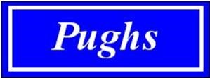 Pughs Estate Agents and Valuers